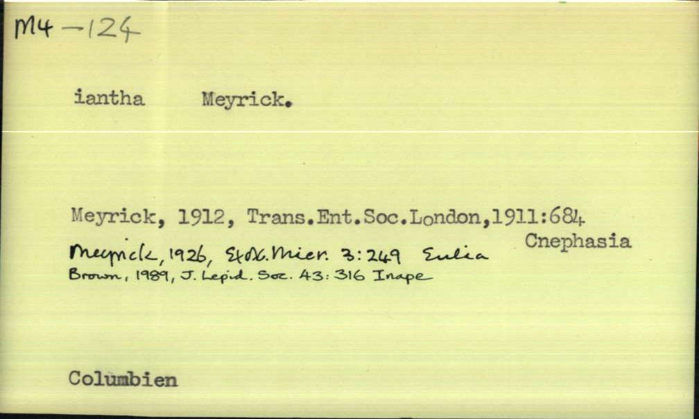 front of card